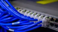 Vista detallada de cables Ethernet azules conectados a un conmutador de red en un centro de datos.