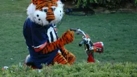 Descripción: Aubie, la mascota disfrazada de la Universidad de Auburn, entretiene a las multitudes en su bicicleta.