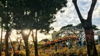 Escena vibrante de parque de atracciones con montaña rusa entre árboles exuberantes y hierba a la luz del día.