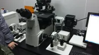 A Nikon Inverted fluorescence microscope in laboratory.