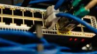 Imagen de primer plano de cables Ethernet conectados a un conmutador de red, que muestra la infraestructura de TI.