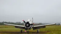 Vista trasera de un avión de hélice vintage estacionado en una pista de aterrizaje de hierba bajo cielos de niebla.