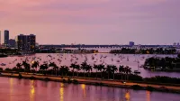 Una vista aérea del horizonte de Miami en Twilight, con reflejos de agua y palmeras.