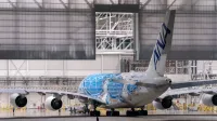 Un gran avión de pasajeros con librea única estacionada en un hangar industrial.
