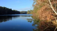 Imágenes Si Espejo Vista Lago Del Lago Y Sus Reflexiones De Agua Clara