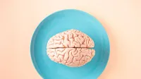 A human brain model placed on a blue plate, viewed from above against a pastel background.