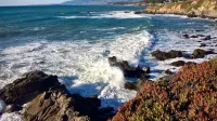 Cambria, California, a lo largo del sendero del acantilado.