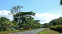 Camino a lo largo de la costa