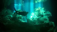 Scuba diver explores serene underwater coral formations illuminated by natural light rays.