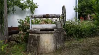 Un encantador pozo de piedra antiguo con un cubo de metal en medio de un exuberante jardín verde.