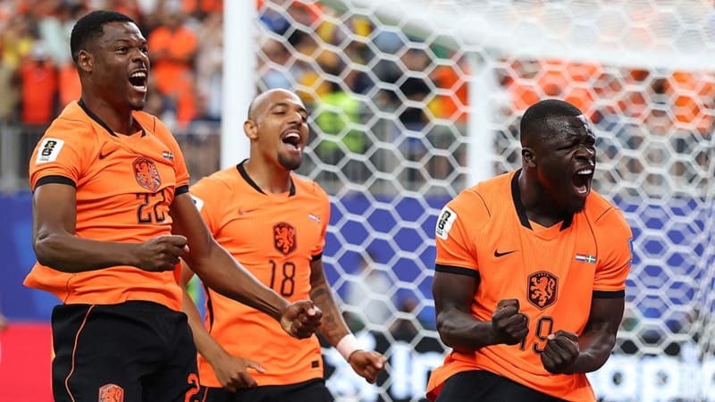 Países Bajos aplasta 5-1 a Suecia y lidera el Grupo F imagen del post
