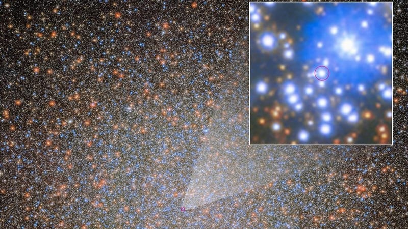 Hubble y Webb hallan el primer agujero negro estelar de Omega Centauri: 4.46 masas solares imagen del post