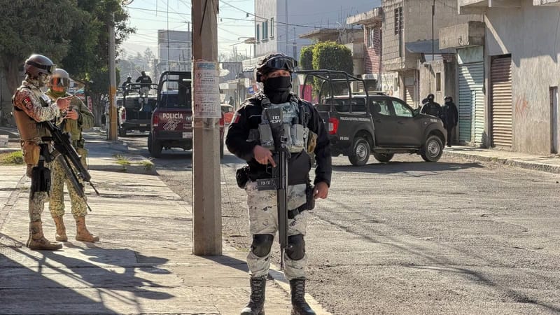 Durango: casi 100 quejas por presuntos abusos militares a un mes del operativo contra Los Cabrera imagen del post