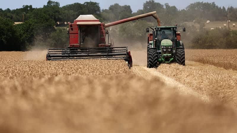 Los futuros del trigo se disparan debido a que los ataques en el Mar Negro interrumpen las exportaciones de grano
