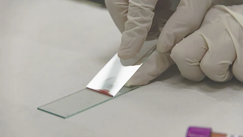 Scientist in gloves preparing a glass slide with a sample for microscopic analysis.