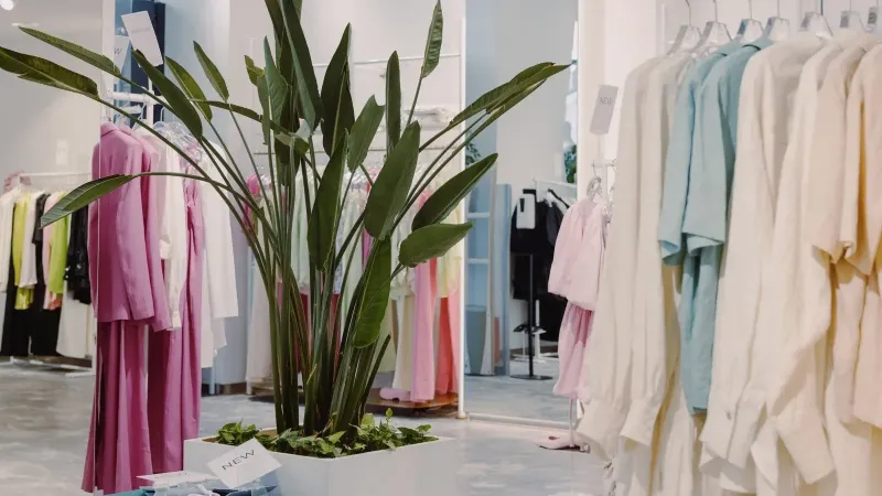 Bright and airy boutique featuring pastel garments and a lush green plant centerpiece.