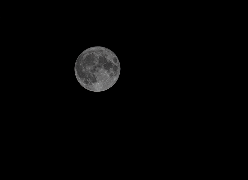 A detailed photograph of a full moon in the night sky, captured from Israel.
