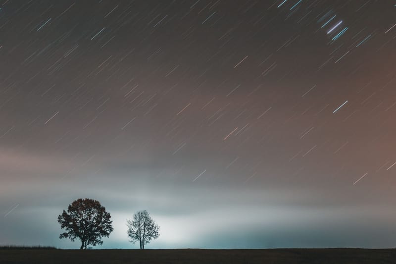 Long exposure photo capturing star trails over silhouetted trees at night