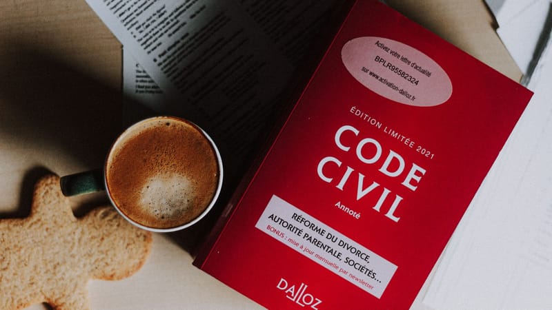 Top view composition of freshly brewed aromatic cappuccino with fluffy froth and gingerbread cookie placed on desk near thick law book