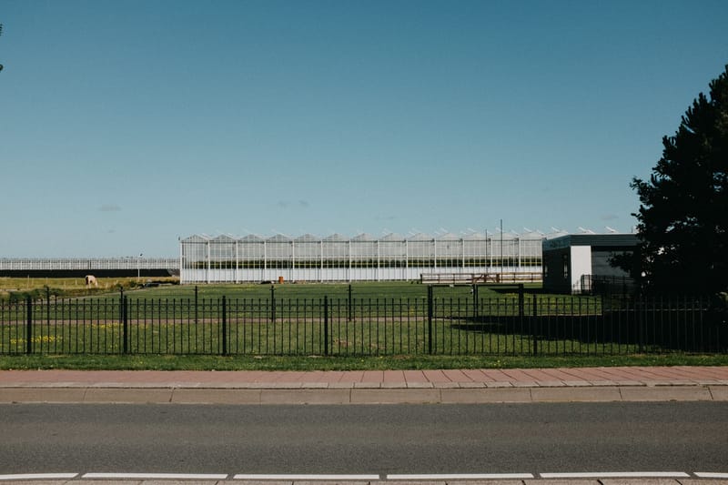 Front view of a large greenhouse behind a metal fence on a sunny day.