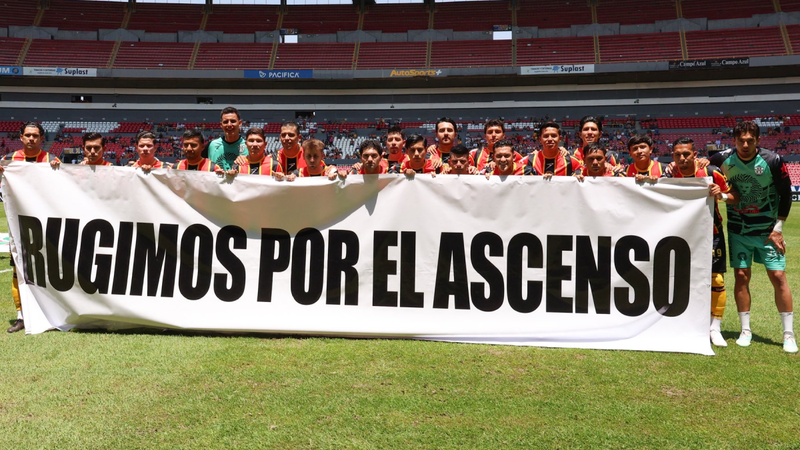Leones Negros y aficionados protestan para regresar el ascenso y descenso imagen del post
