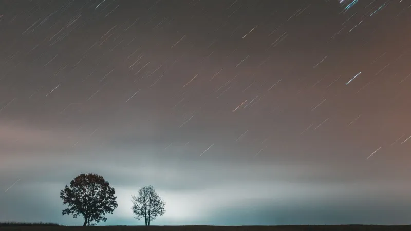 Long exposure photo capturing star trails over silhouetted trees at night