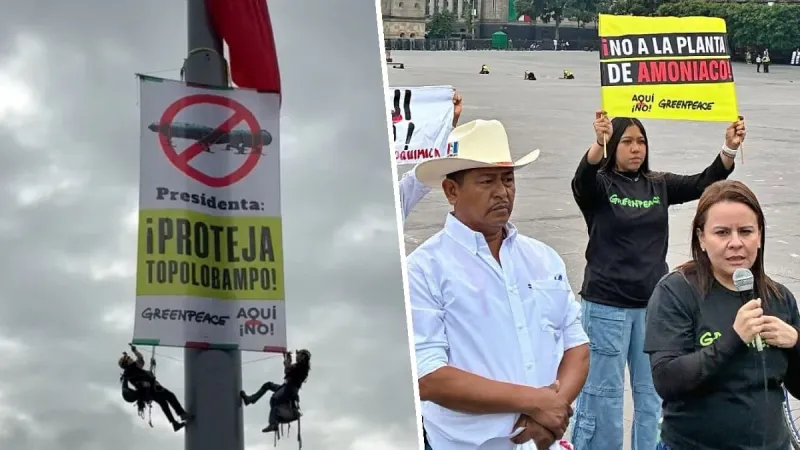 Activistas escalan asta bandera del Zócalo: Exigen cancelar planta de amoníaco en Topolobampo imagen del post