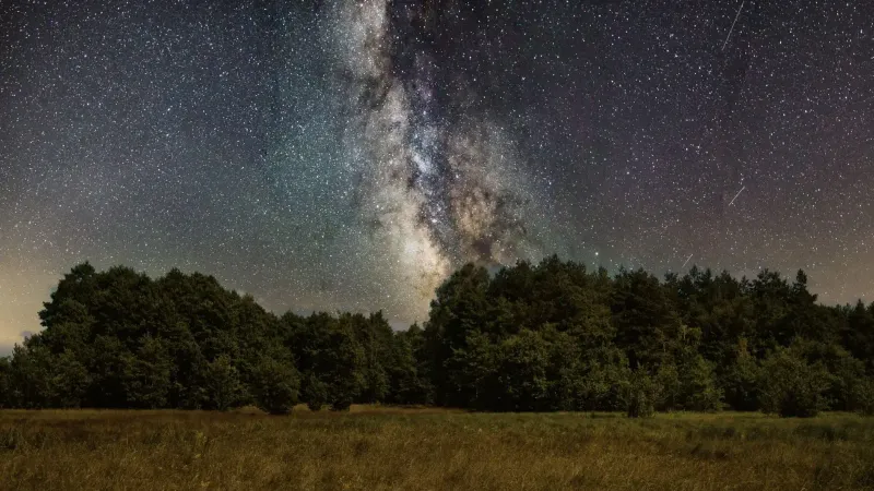 Captivating view of the Milky Way galaxy with a clear starry night sky over a peaceful meadow and forest.
