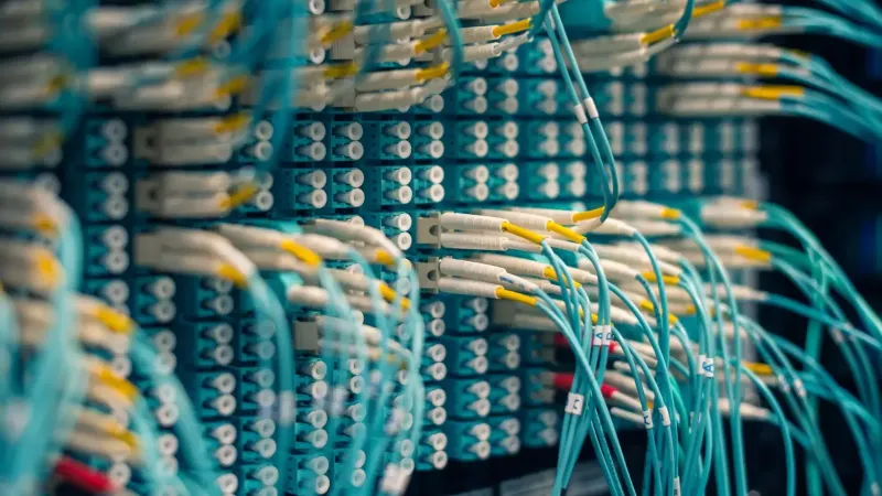 Closeup of rows of tiny round white electrical connectors and long thin blue wires in data center