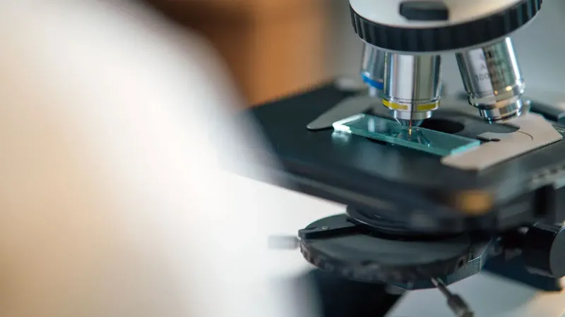 Detailed view of microscope slide setup, essential for biological research.