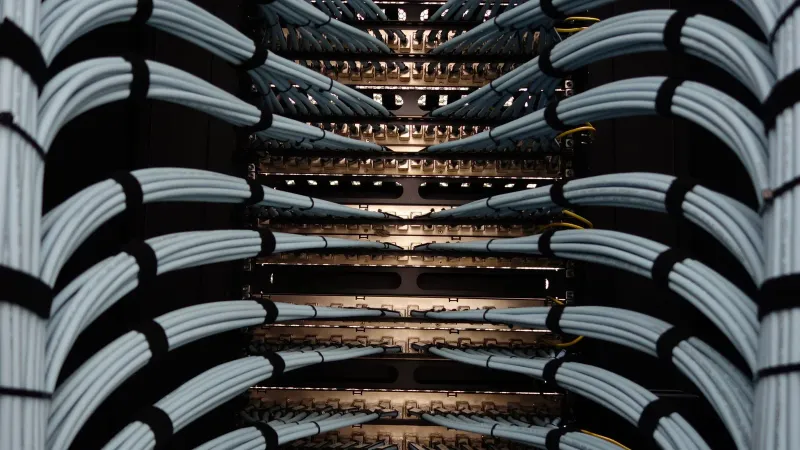 Organized network server cables for efficient data management.