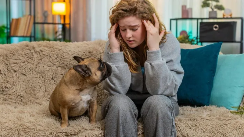 Cuidado: Tu estrés podría estar pasándosele a tu perrito por tus emociones imagen del post