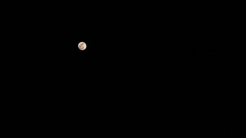 A full moon against a dark, starry night sky with no visible clouds.