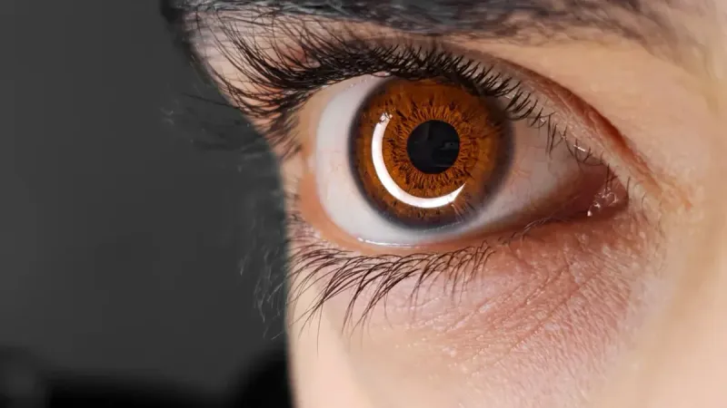 Detailed close-up image of a human brown eye with emphasis on the iris and eyelashes.