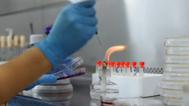 Close-up of a scientist conducting an experiment with petri dishes and a Bunsen burner in a laboratory.