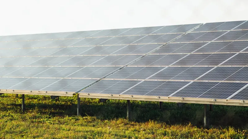 Expansive solar panel array harnessing clean energy in a sunny outdoor field scene.