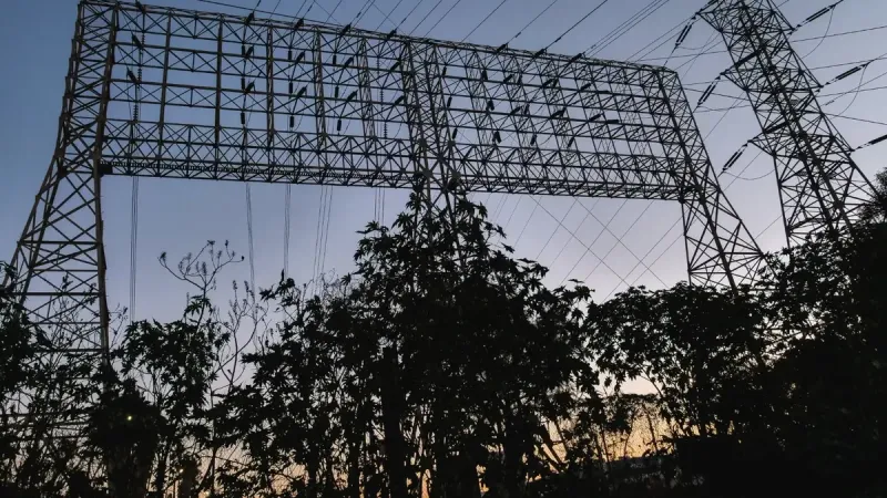 Silhouette of electricity pylons and power lines set against a twilight sky.