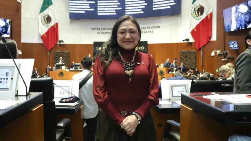 Senadora de Morena acumula faltas por ¿evitar que le quiten su nacional de Estados Unidos? imagen del post