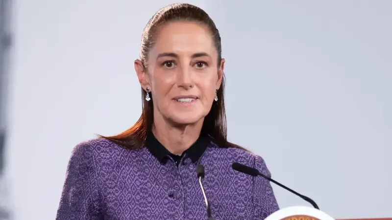 Sheinbaum solicitará a Interpol reactivar las fichas rojas contra Álvarez Puga y Gómez Mont: “Son delincuentes” imagen del post