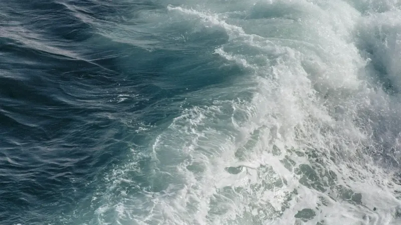 Vibrant ocean waves crashing and creating a natural seascape of splashes and motion.