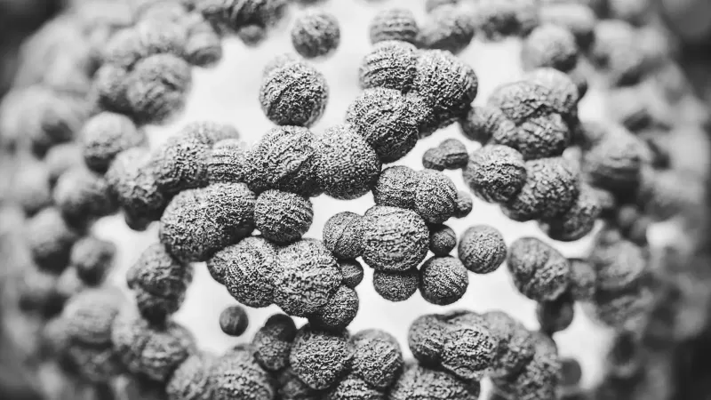 Detailed black and white macro image of antibodies showcasing intricate textures in microscopic science.