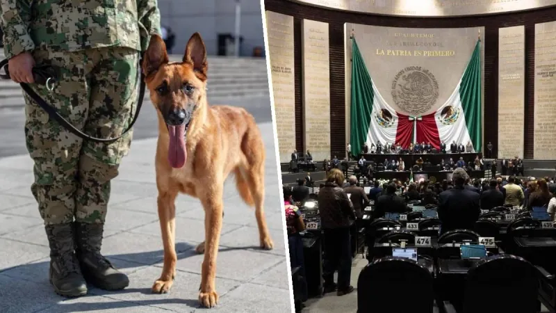35 Diputados son sorprendidos portando armas de fuego en el Congreso imagen del post