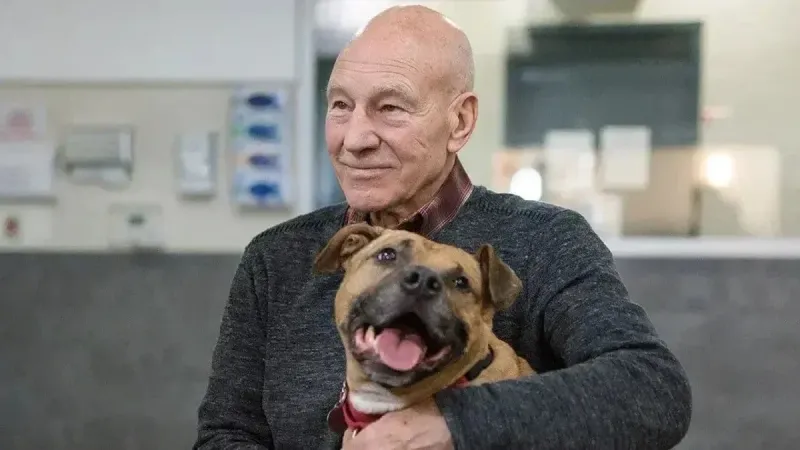 Imagen oficial de ASPCA