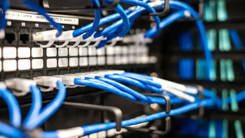 Cables de plástico azul con puntas blancas conectadas al servidor y proporcionan acceso a la información