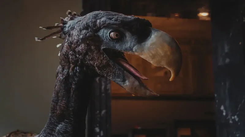 Vista detallada de una escultura de pájaro fósil exhibida en interiores en un museo de Viena.