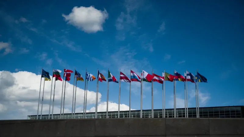 Row of European flags fluttering against a clear blue sky, symbolizing unity.