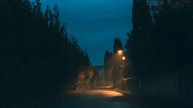 Eerie foggy street at night with dimly lit lamp post casting shadows.