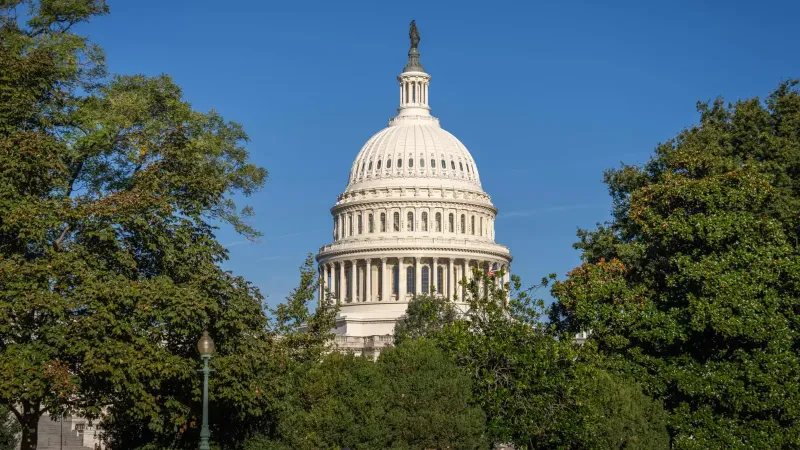 A stunning day view of the US Capitol Building framed by lush trees under a clear blue sky.