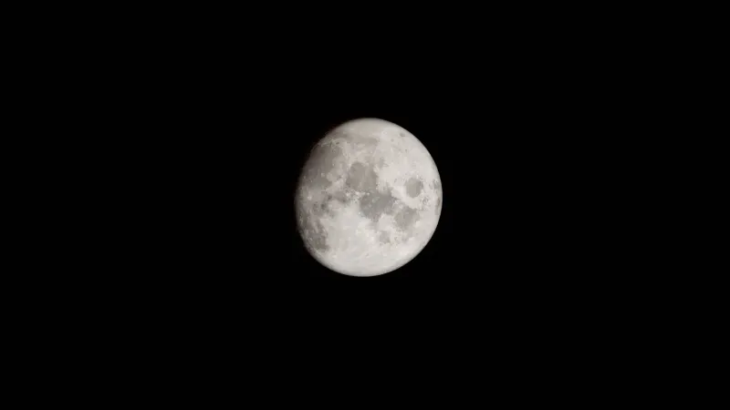 Una captura detallada de la luna llena contra un cielo negro descarnado, ideal para los entusiastas de la astronomía.