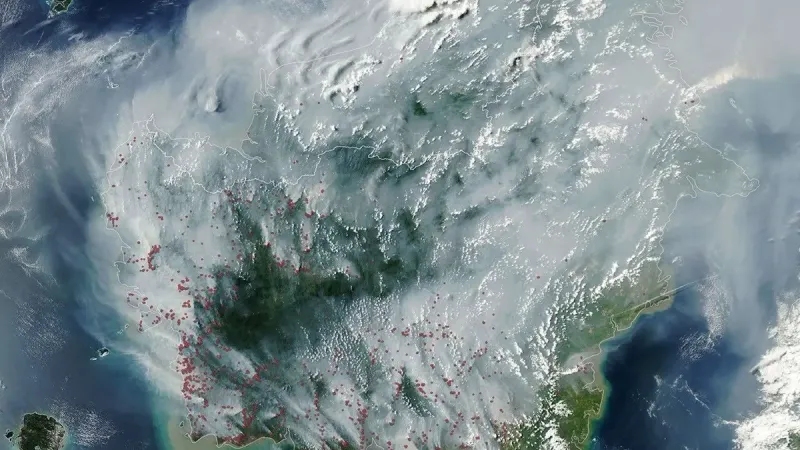 Espesas columnas grises de humo de gran cantidad de fuegos esparcidos por la isla de Borneo.